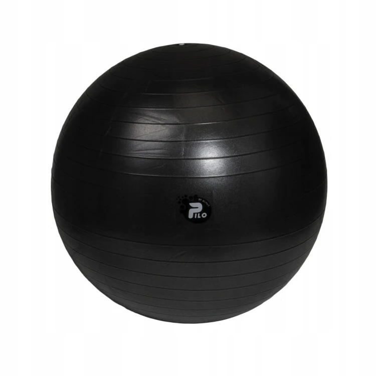 PIŁKA DO ĆWICZEŃ I REHABILITACJI, SYSTEM ABS, OBCIĄŻENIE 300KG 75CM+ POMPKA