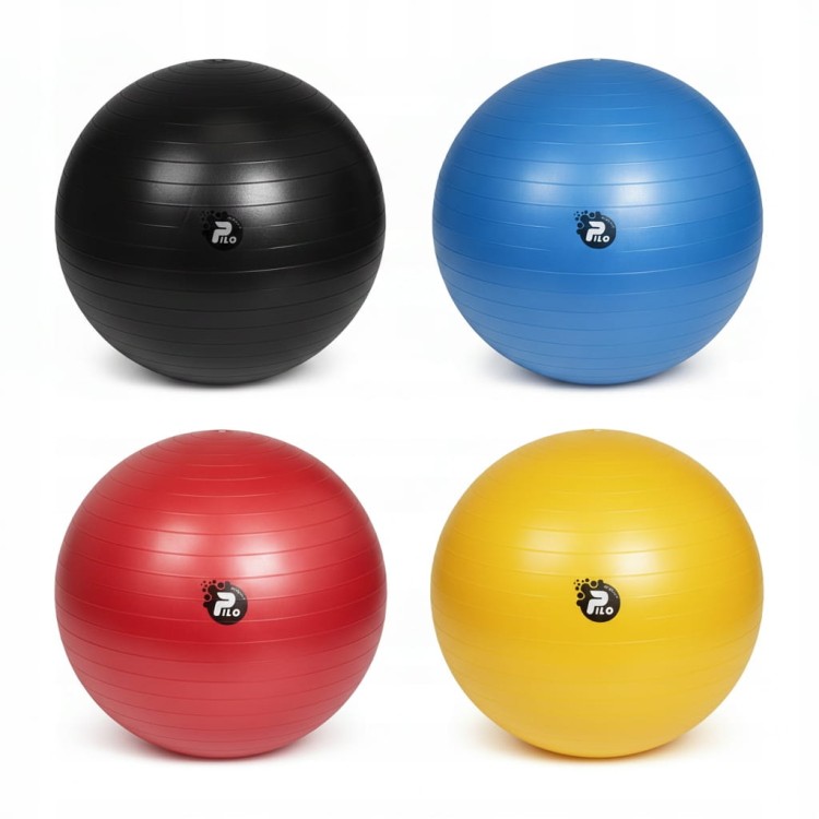 PIŁKA DO ĆWICZEŃ I REHABILITACJI, SYSTEM ABS, OBCIĄŻENIE 300KG 65CM+ POMPKA