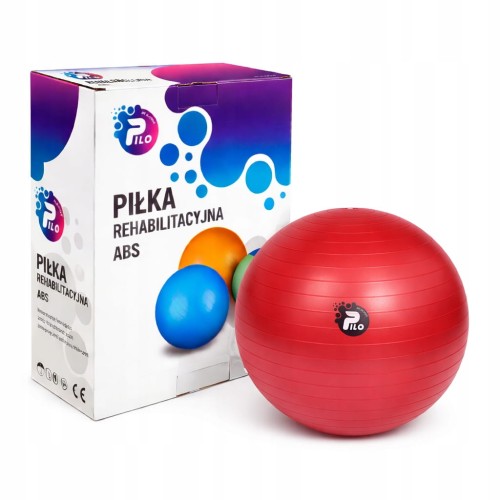 PIŁKA DO ĆWICZEŃ I REHABILITACJI, SYSTEM ABS, OBCIĄŻENIE 300KG 55CM+ POMPKA