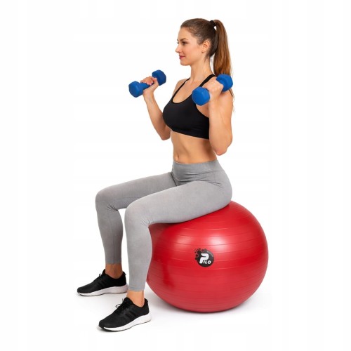 PIŁKA DO ĆWICZEŃ I REHABILITACJI, SYSTEM ABS, OBCIĄŻENIE 300KG 55CM+ POMPKA