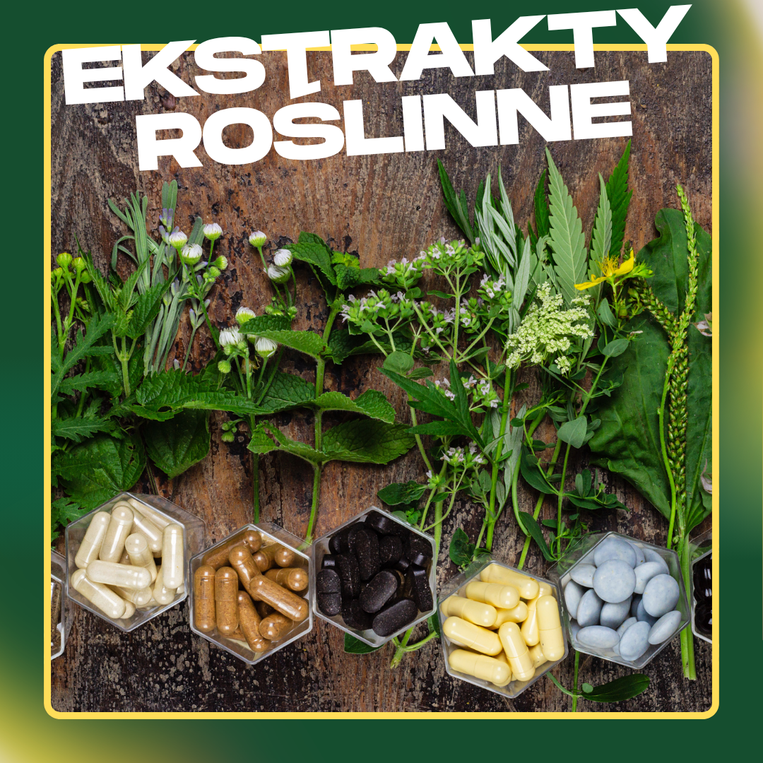 Zioła, świeże rośliny oraz kapsułki z suplementami na drewnianym tle z napisem Ekstrakty roślinne omega369.pl