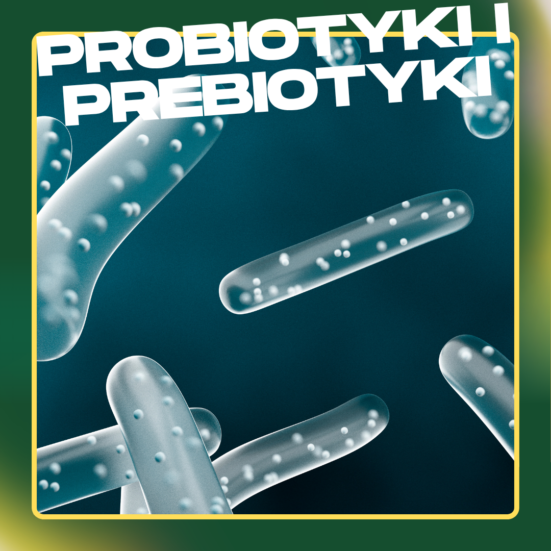 Grafika przedstawiająca mikroskopijne pałeczki bakterii probiotycznych z napisem Probiotyki i prebiotyki omega369.p