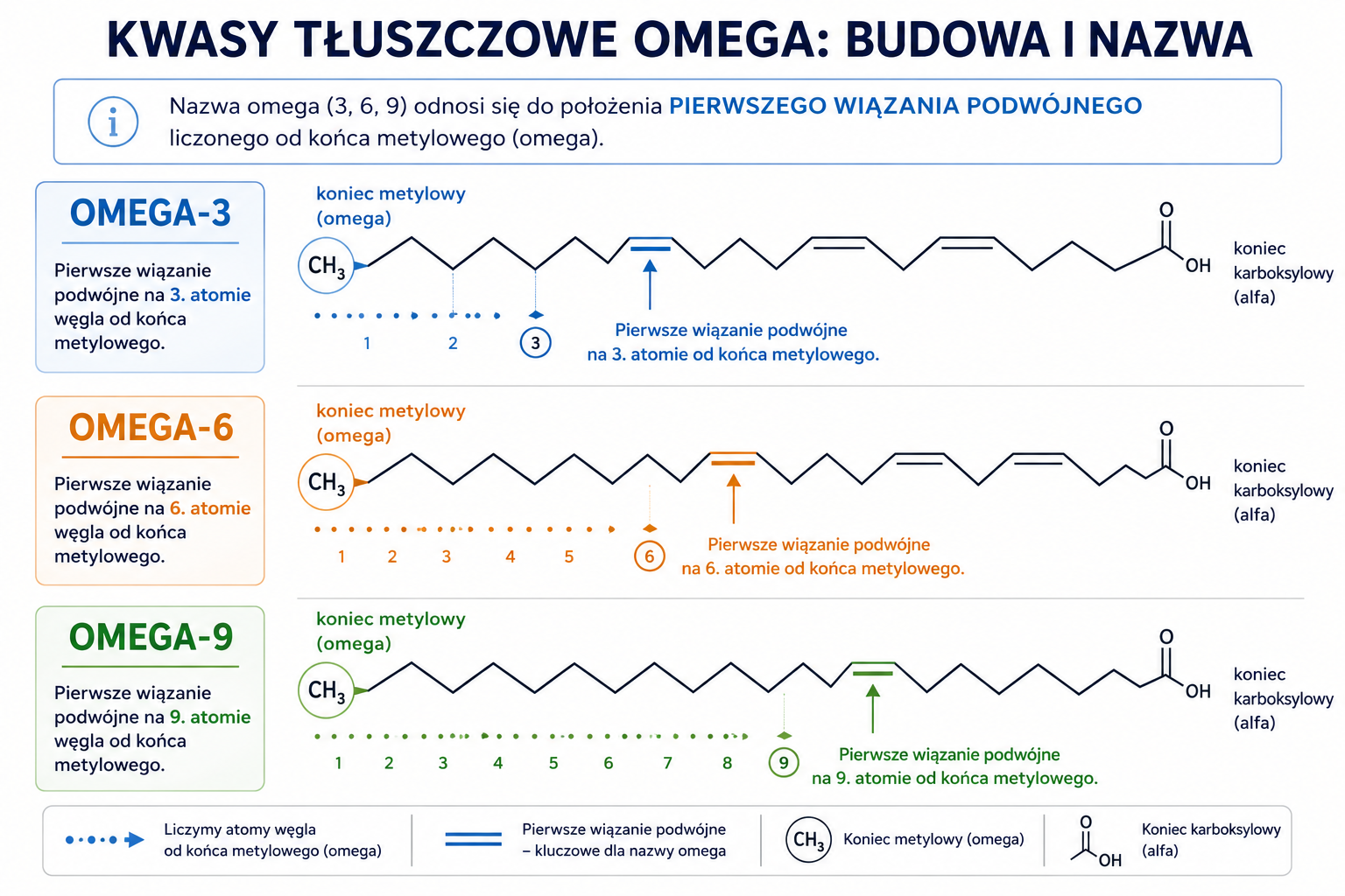 Porównanie położenia pierwszego wiązania podwójnego w kwasach omega-3, omega-6 i omega-9