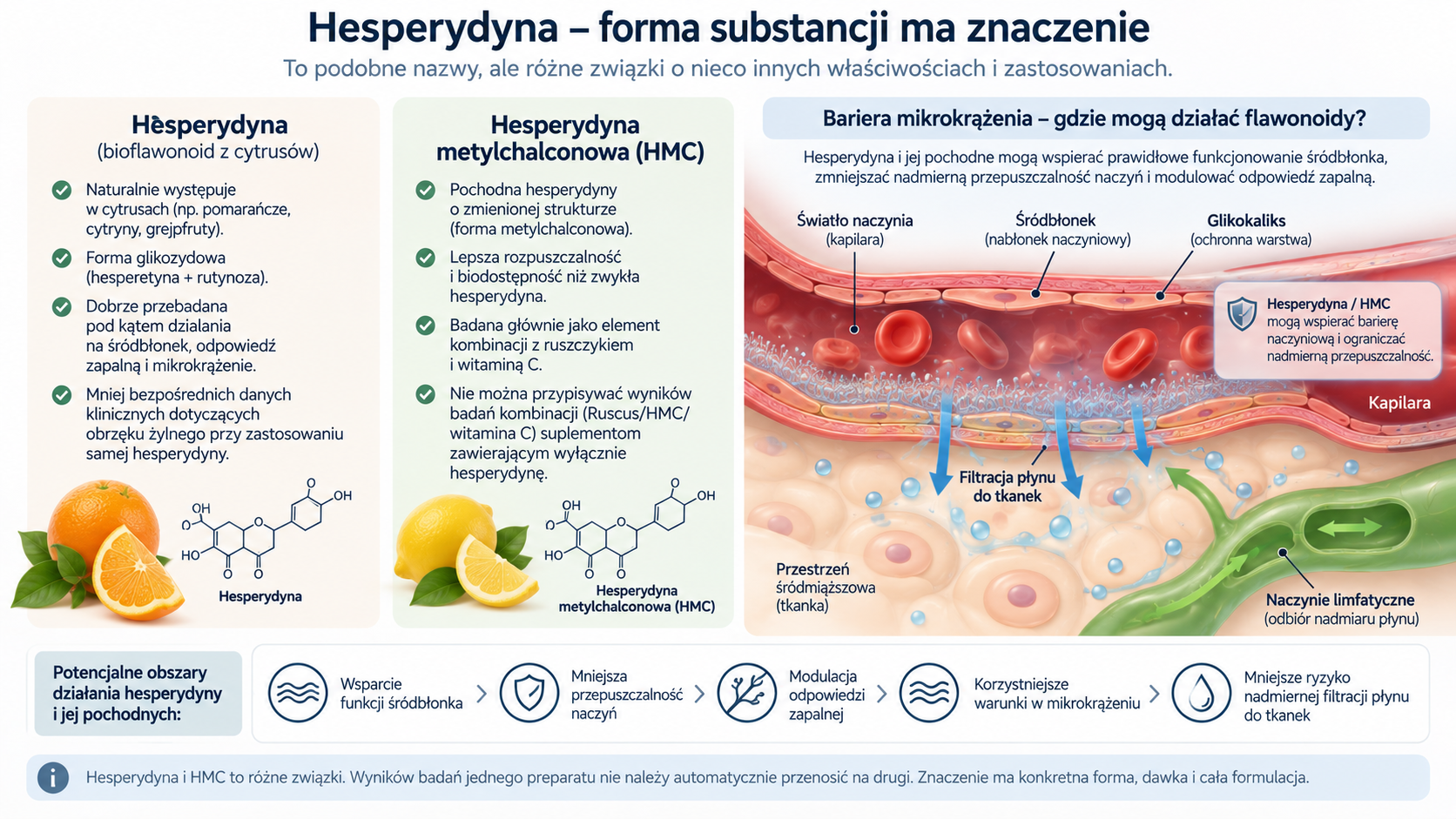 Porównanie hesperydyny i hesperydyny metylchalconowej w kontekście bariery mikrokrążenia