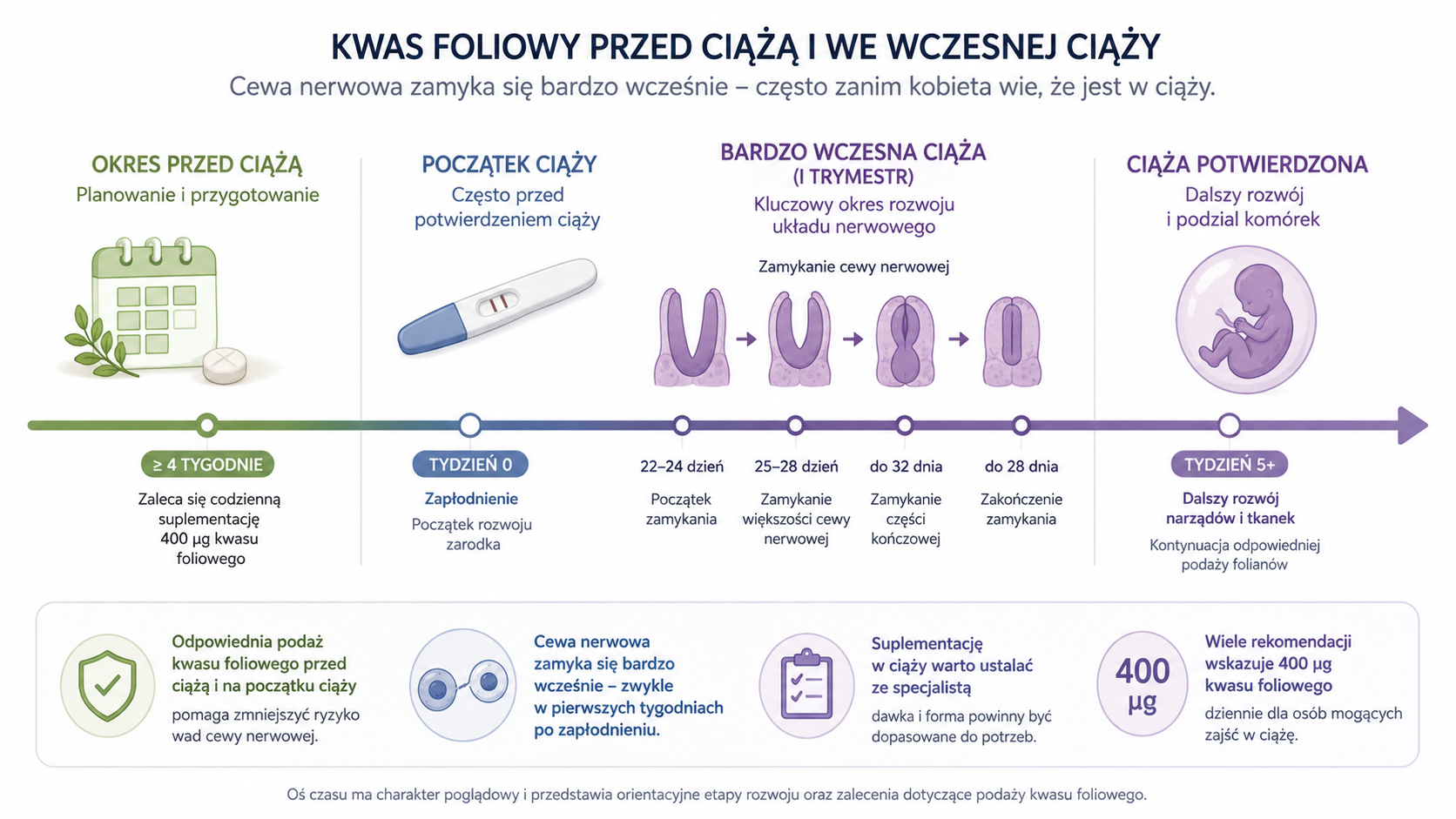 Znaczenie odpowiedniej podaży kwasu foliowego przed ciążą i we wczesnej ciąży