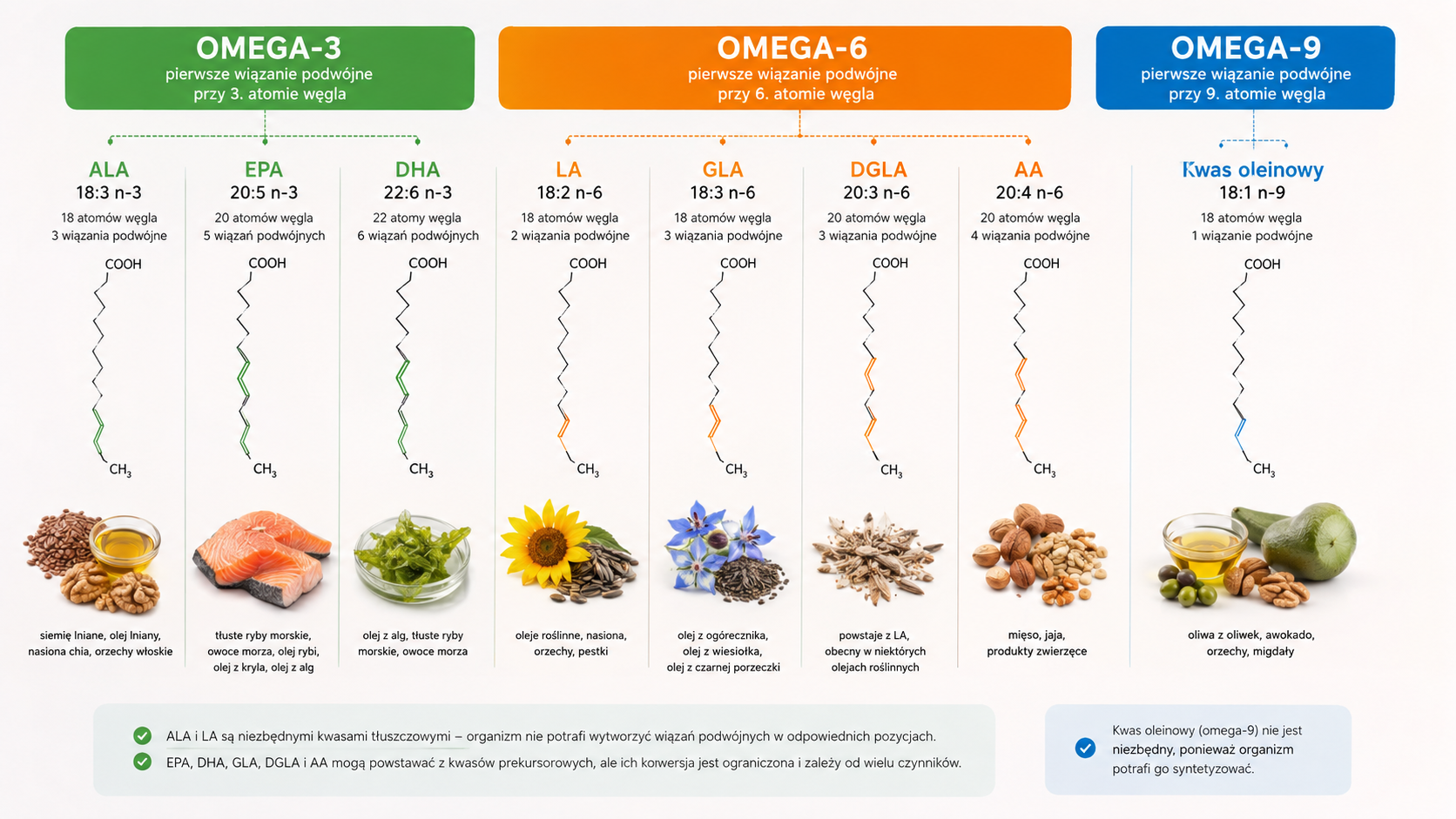 ALA, EPA, DHA, LA, GLA, kwas arachidonowy i kwas oleinowy w rodzinach omega-3, omega-6 i omega-9, w produktach spożywczych