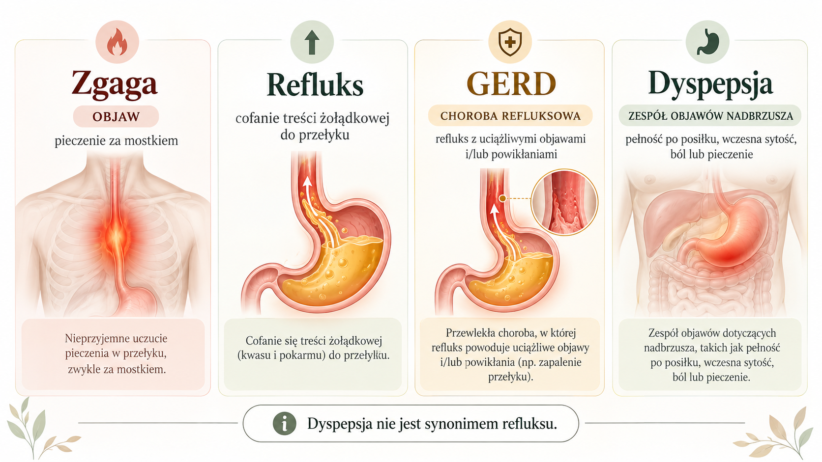 Porównanie zgagi, refluksu, GERD i dyspepsji oraz charakterystycznych różnic między tymi pojęciami