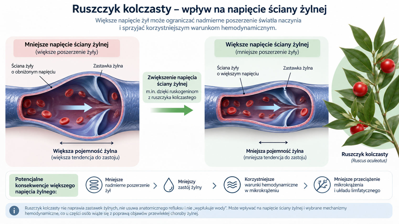 Schemat napięcia ściany żylnej w kontekście ruszczyka kolczastego